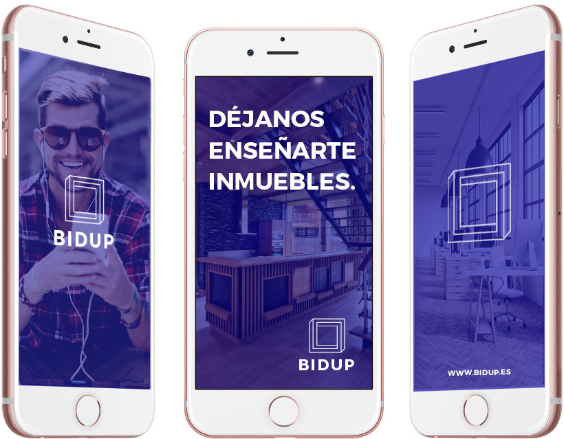 Bidup Diseño web diseño branding  buscador inmuebles Viviendas house
