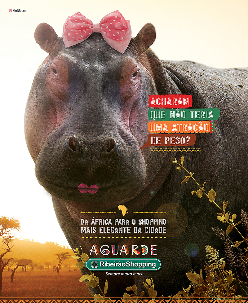 Shopping safari ribeirsãoshopping afria leão girafa gorila hipopotamo poster Marcelo Rogante