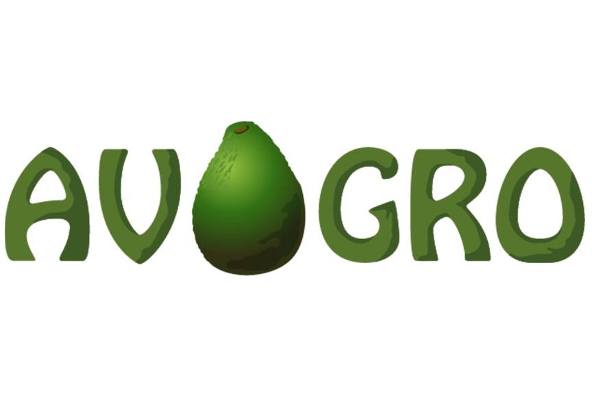 avocado avogro gamedesign gameart 2048Game gameredeisgn ILLUSTRATION 