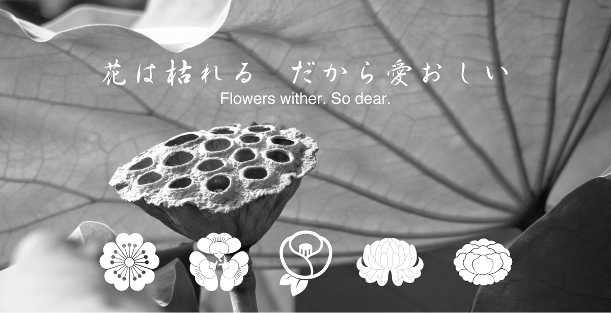 japanese flower oraclebonescript ancientscript zen Wabisabi kanji Shodo japanesecalligraphy mindfulness