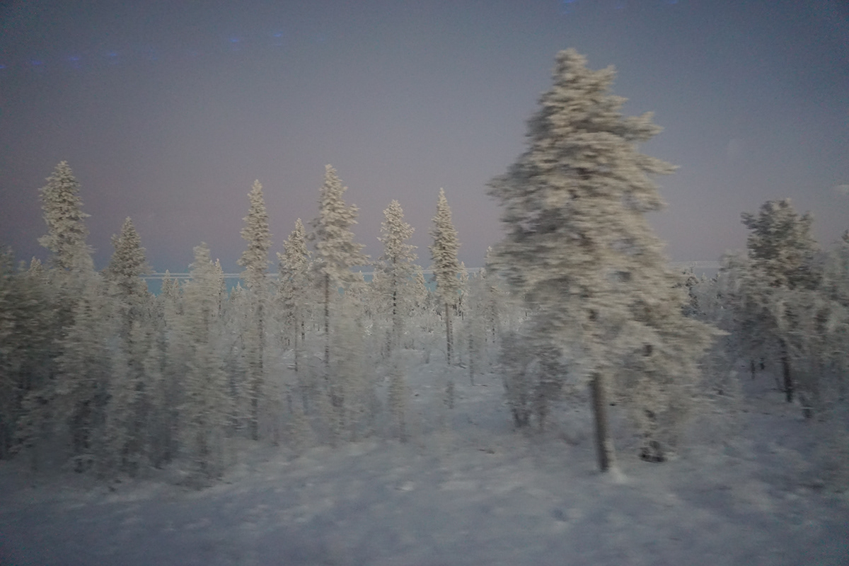 Lapland snow winter aurora Northern Lights