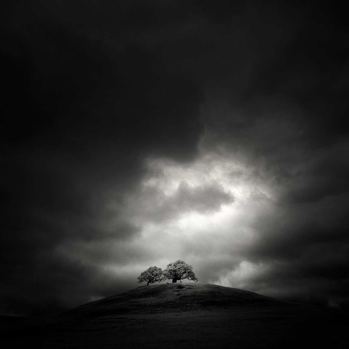 black and white infrared Landscape monochrome Nathan Wirth Nature nlwirth Photography  silence trees