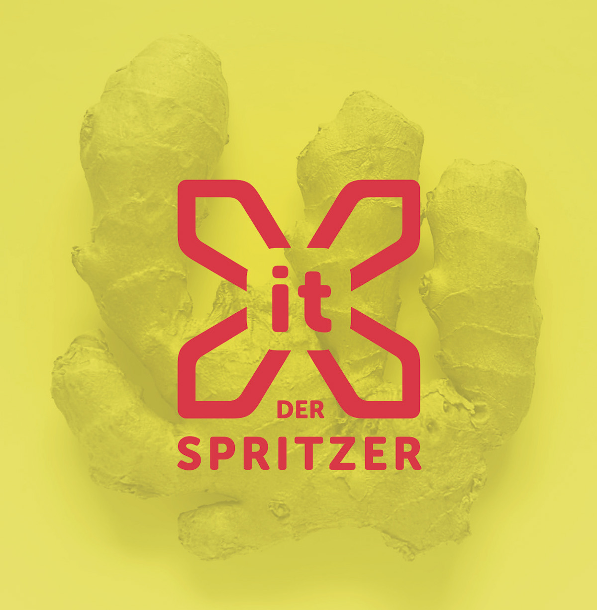 drink cocktail summer spritzwein ginger graphicdesign typography   logo