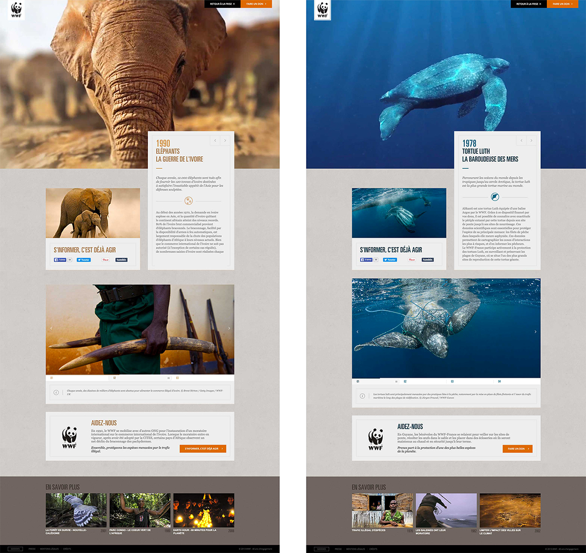 WWF Nature Website animals planet digital Experience Webdesign NGO timeline