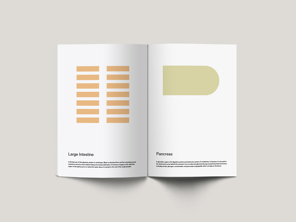 Minimalism geometry book human body pictures
