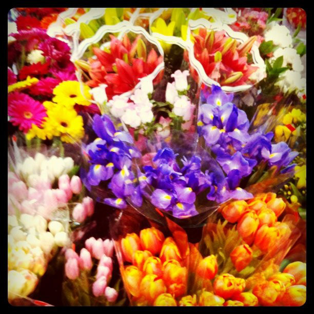 instagram Flowers