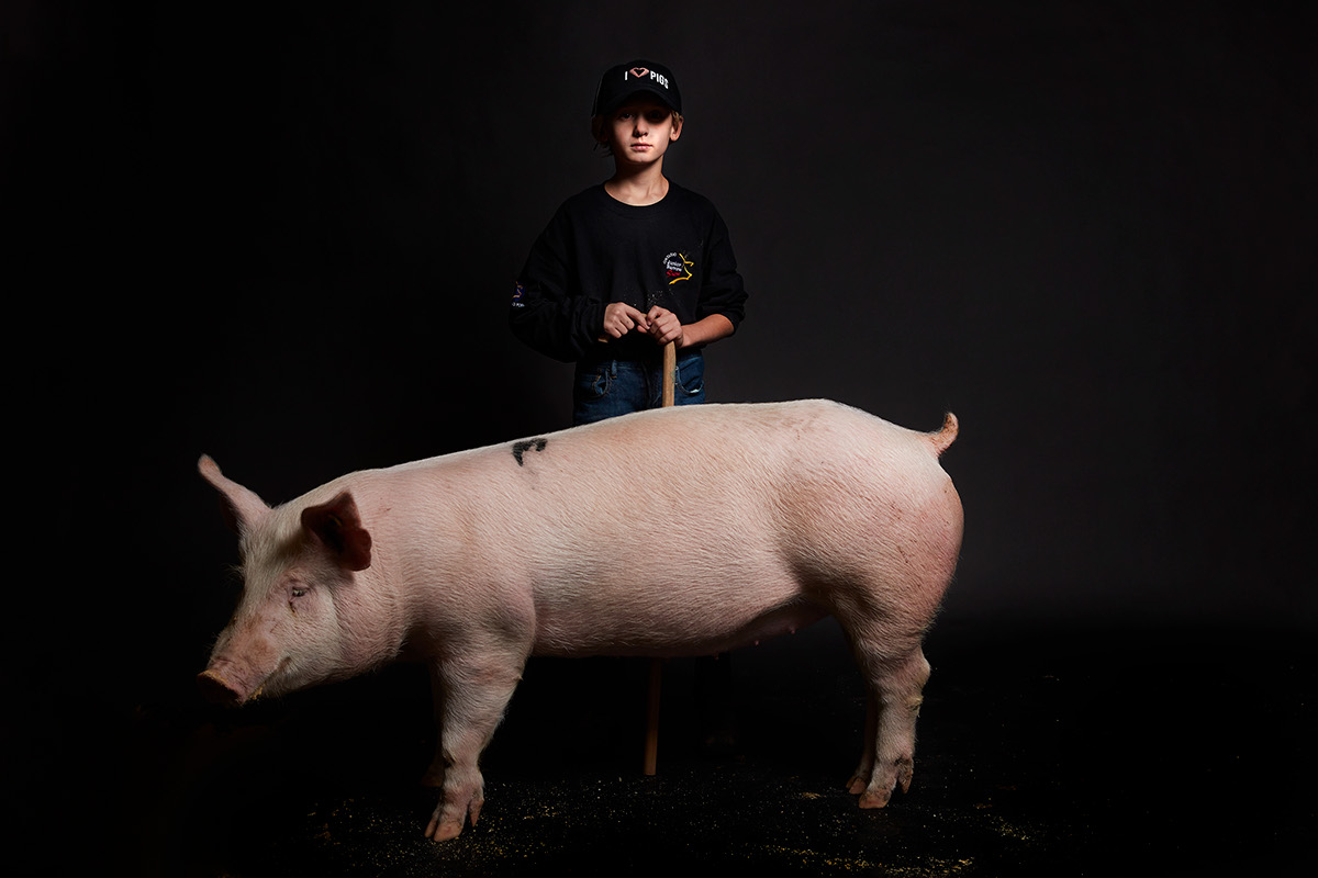 Fair farm portraits pets agriculture cow pig sheep birds