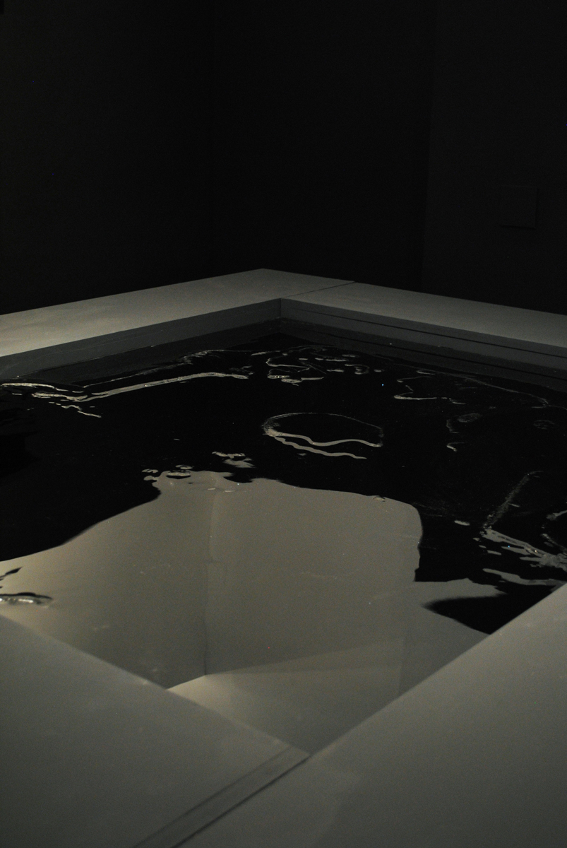 Francine LeClercq caravaggio installation narcissus black mirror water