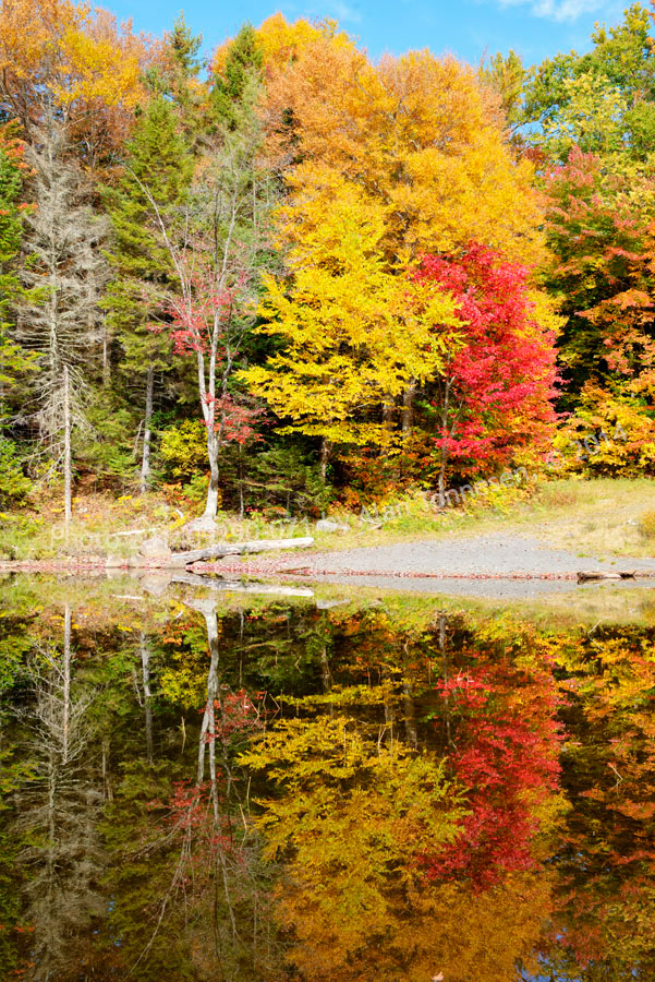 landscape photos Adirondack mountains New York trees lakes streams autumn foliage lake ducks panorama