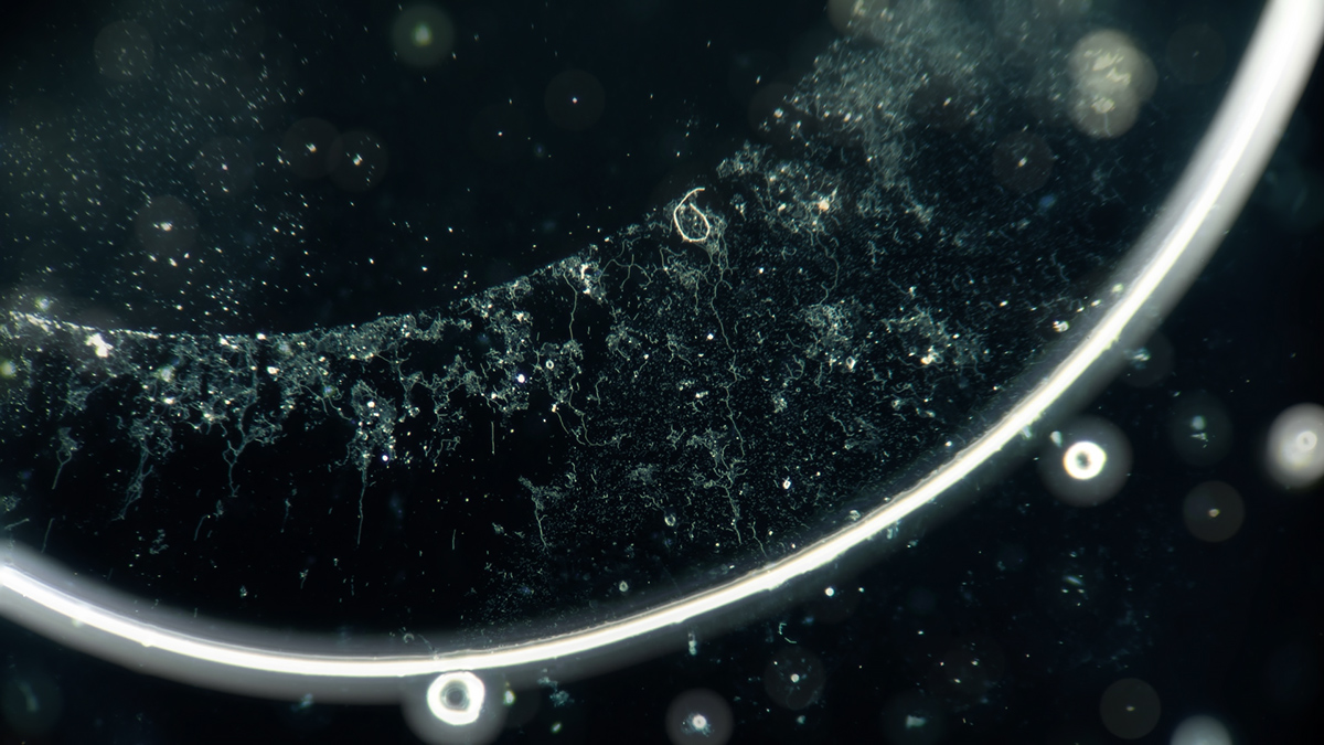 micro makro timelapse crystal Space  chemical process stunning water bubbles life particles melting dramatic forwardxadobe