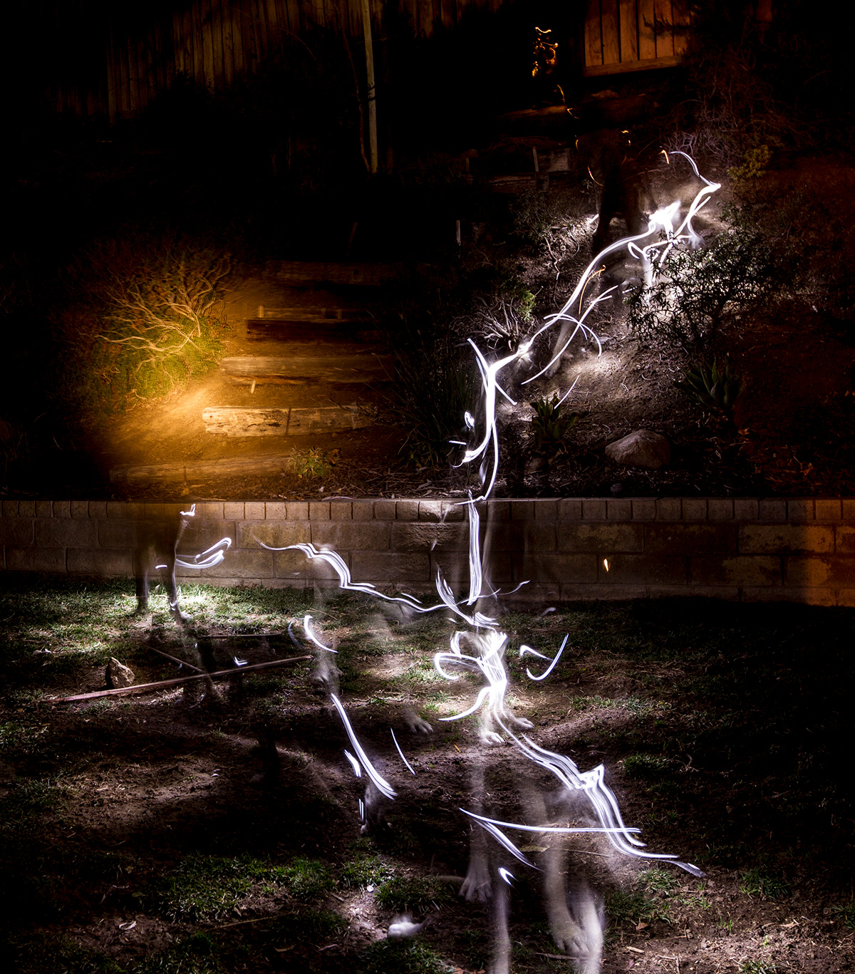 painting with light dogs light suburbia