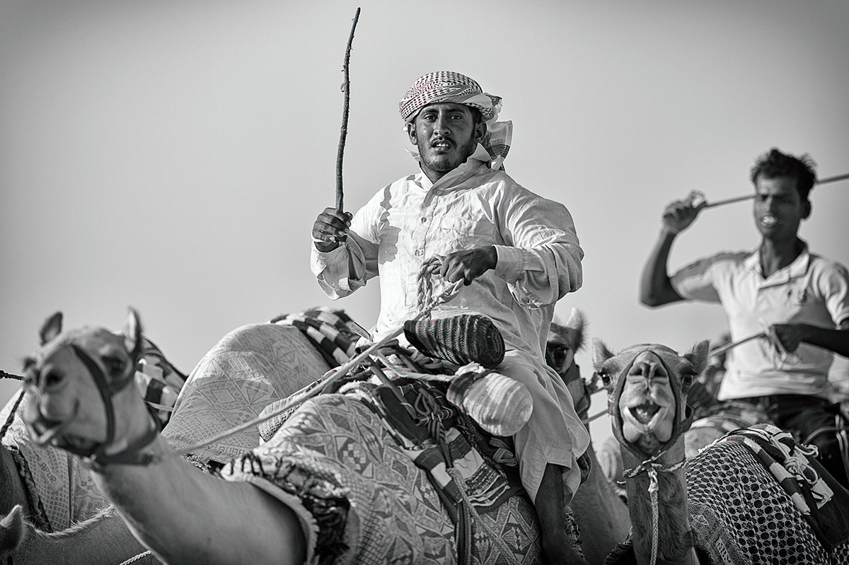 Documentary  camels Camel Racing dubai tradition  traditional sport arab culture b&w  monochrome people  Faces  portraits training animals
