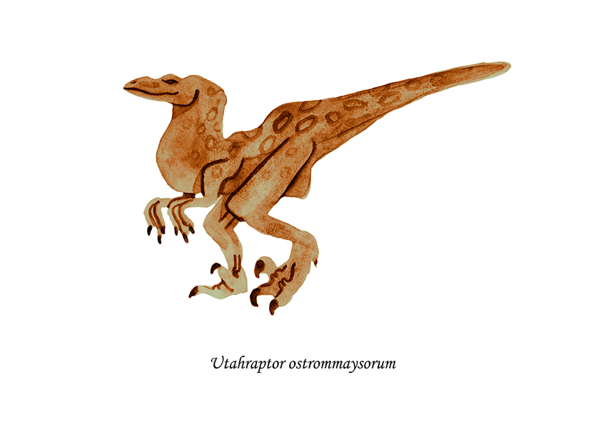 dinosaurs animal species Nature science children child velociraptor tyrannosaurus stegosaurus
