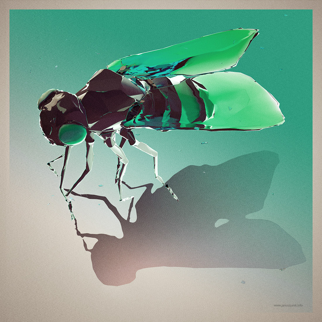 Flies poster Fly