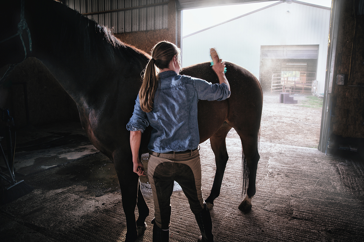 Adobe Portfolio horse equestrian rider stables woman barn Colorado ranch farm grooming