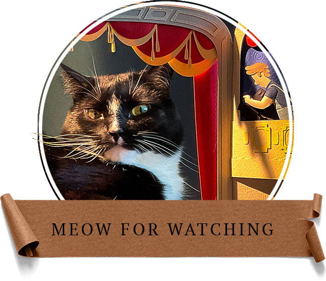 meow for watching