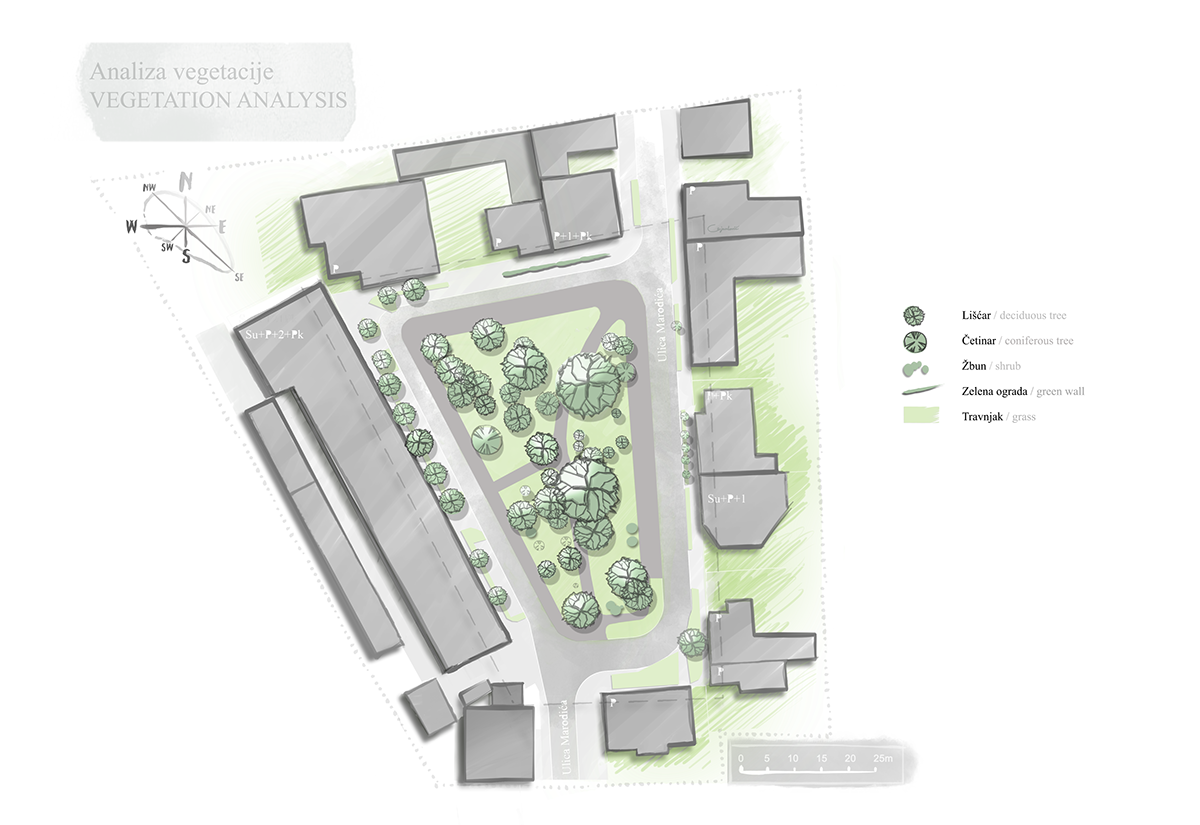 urban area revitalization Landscape Architecture  Landscape Design design plants Ecology