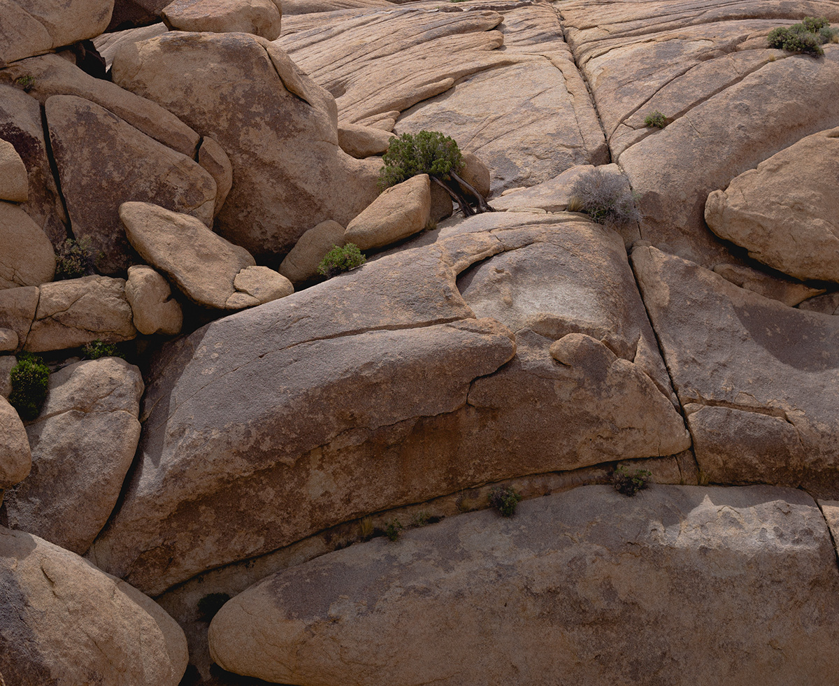 Photography  lightroom adventure outdoors National Park color Landscape texture desert Editing 