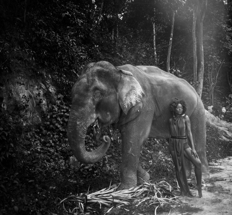 elephant women forest