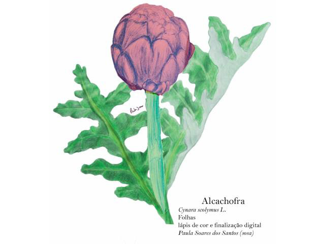 memento botanical illustration book cover book Nature Flowers artwork Digital Art 