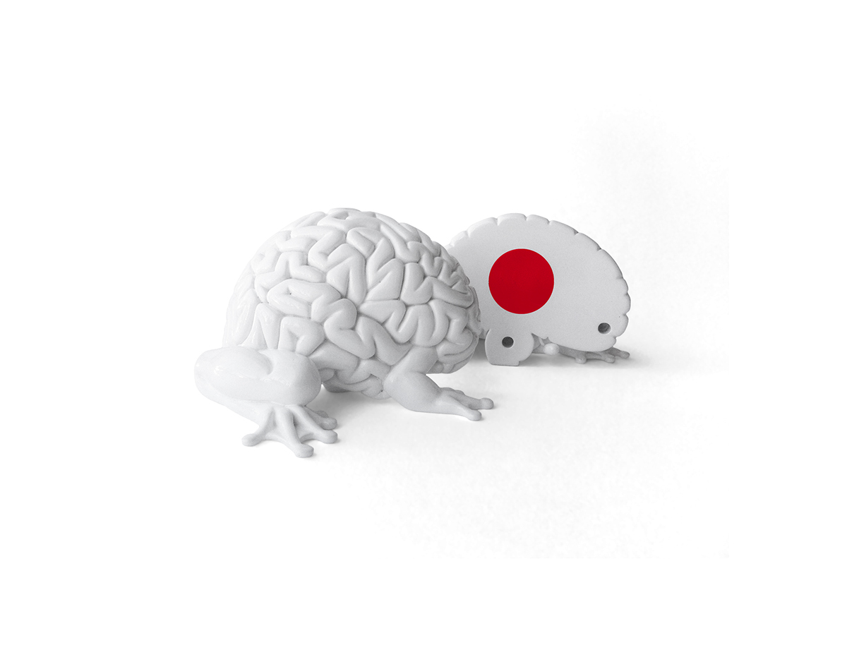 jumping brain japan earthquake disaster lapolab emilio garcia sunami brain frog hinomaru flag