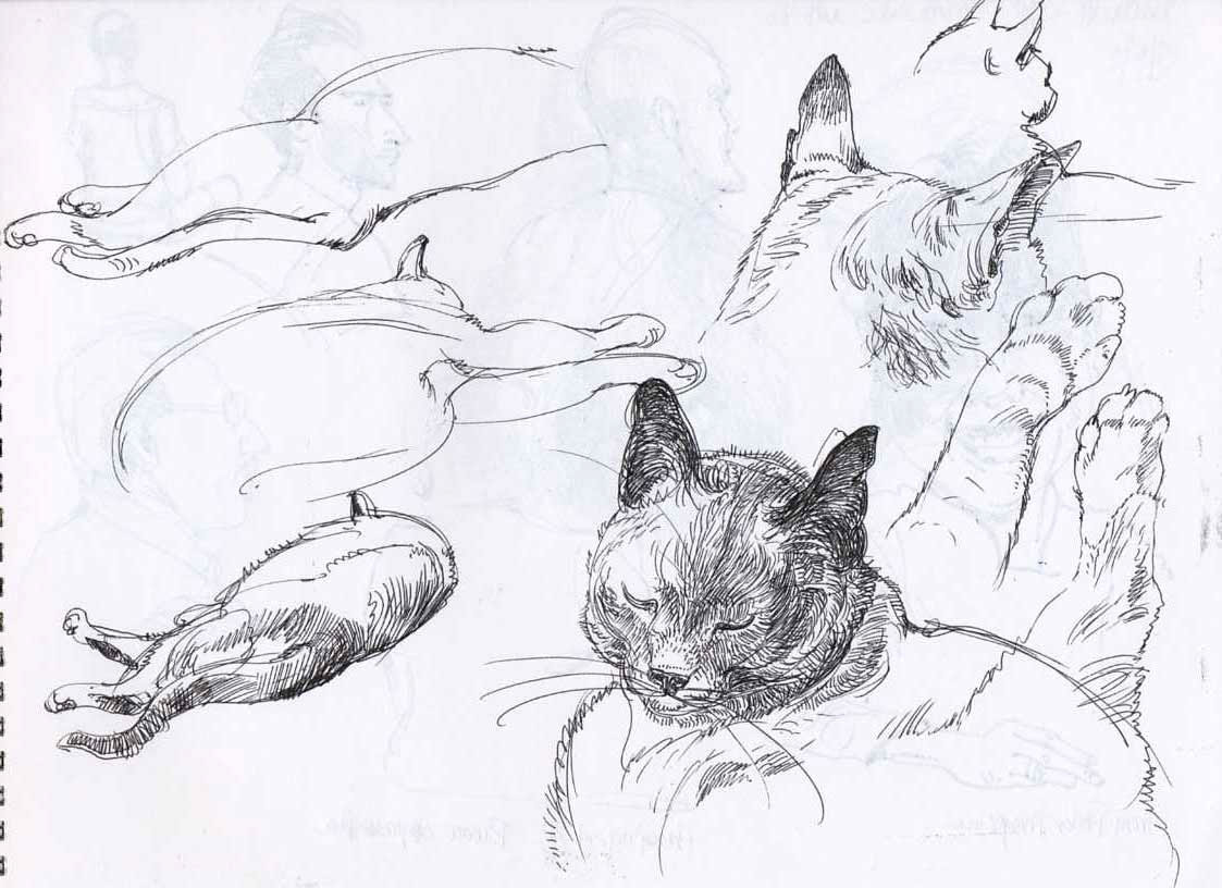 pets dogs watercolor life drawing doodling en plein air sketches sketchbook drawings people portraits