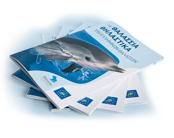 sea Handbook mammals Greece WWF life marine AEGIAN brochure print Ocean water thalassa Ecology ecosystem