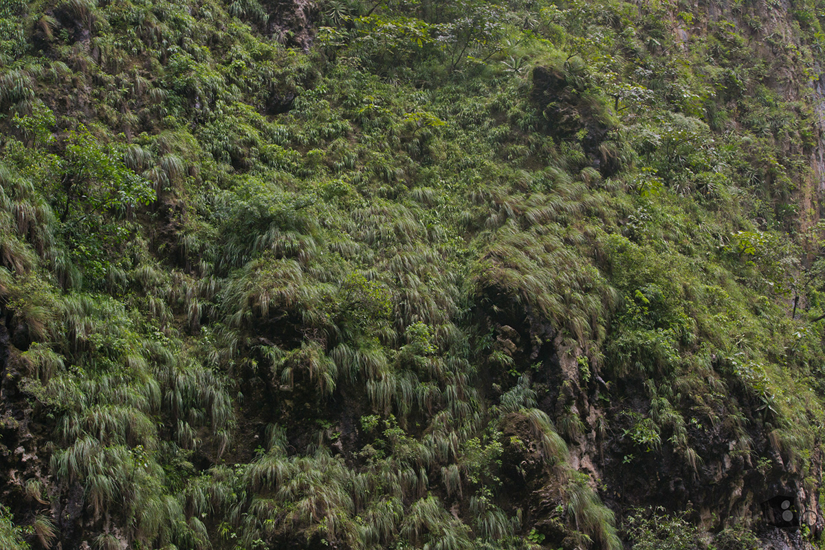 mexico chiapas tuxtla San Cristobal Palenque xochimilco puebla Atlixco