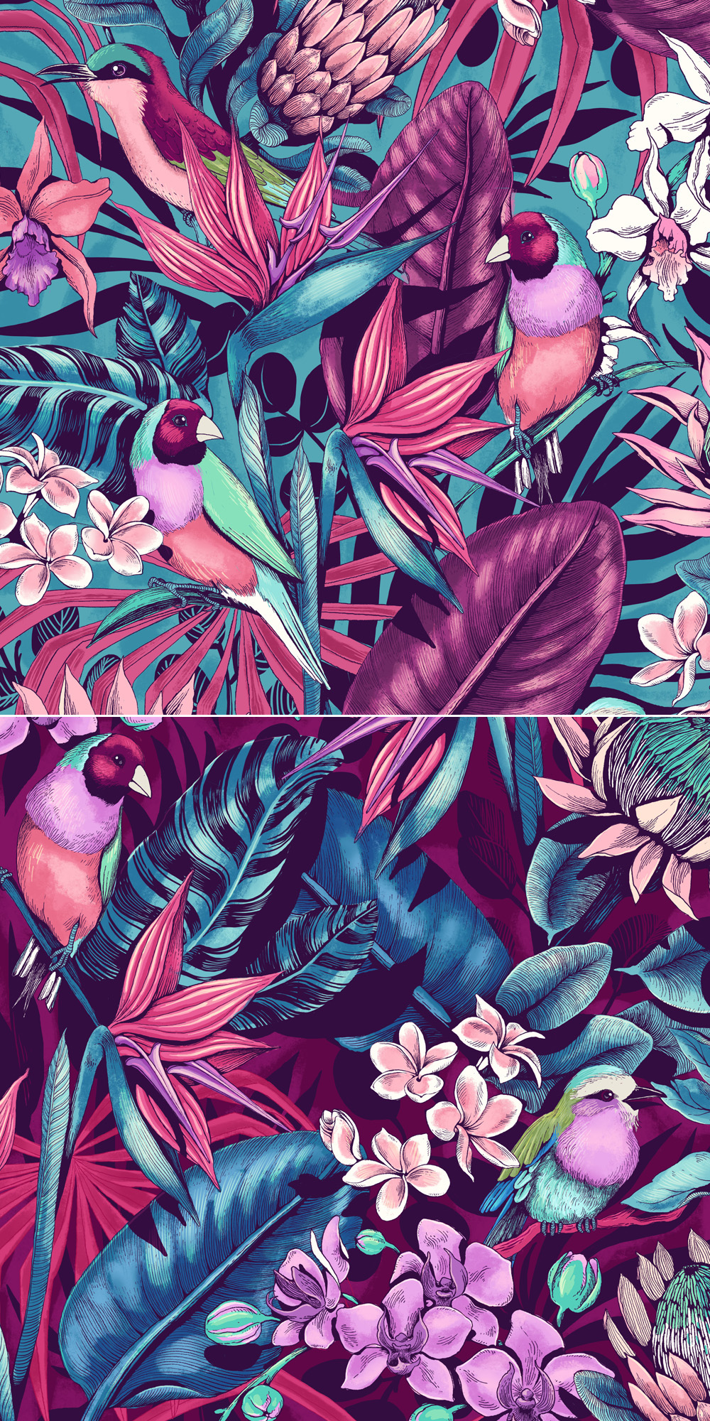 Tropical floral orchid bird rainbow finch Bee eater peony Strelitzia leaves Flowers