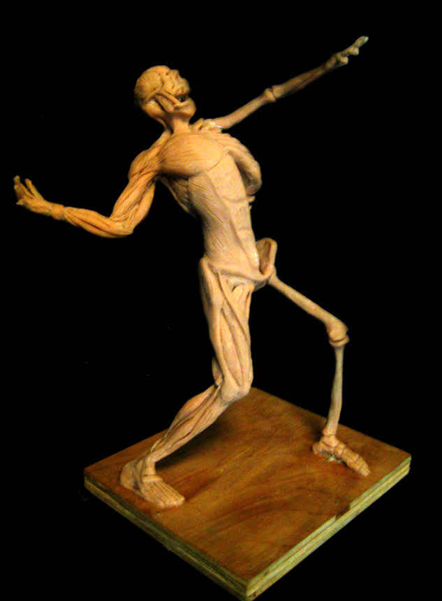 sculpture ecorche study anatomy fine art