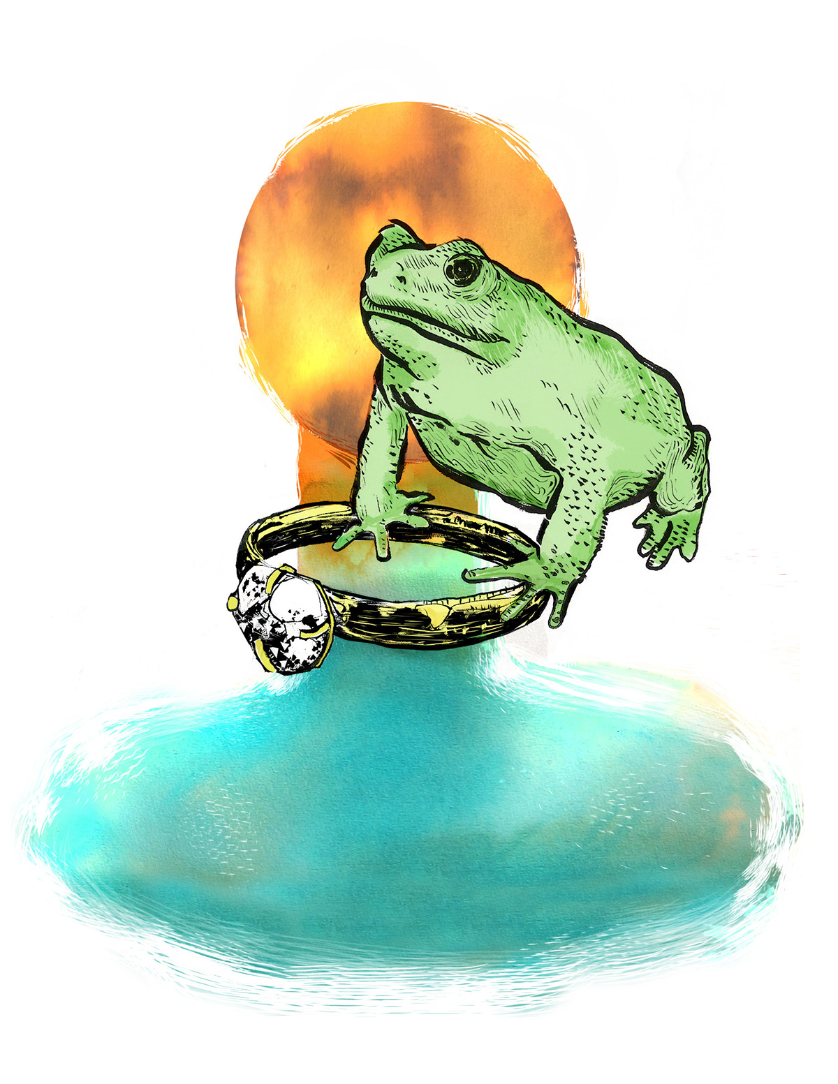 Behance colours story frog