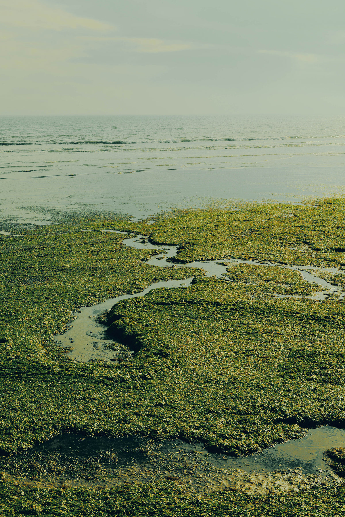 delzo lagoon Landscape marcodelzotto minimal Venice