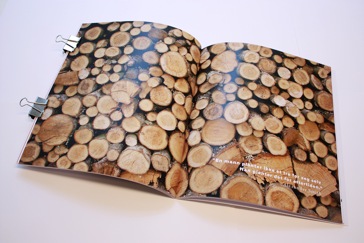 environment design readymade DIY art magazine magazine layout Magazine Cover Layout