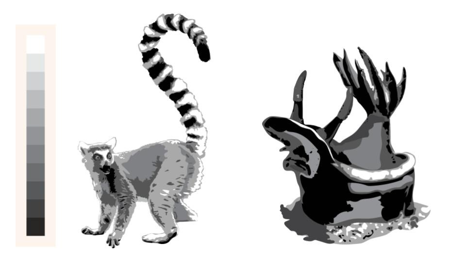 animal animal spirit design lemur sea slug