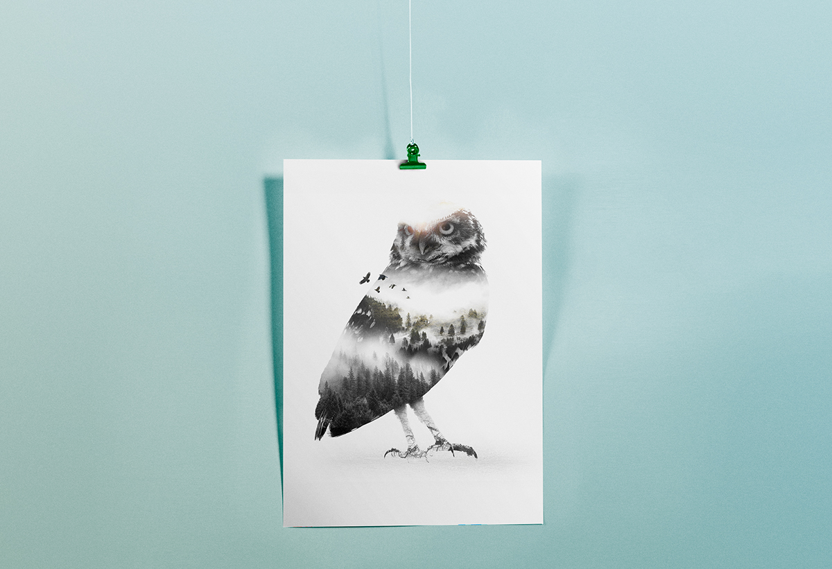 double exposure design Photography  art New Zealand birds mountains forest flight owl