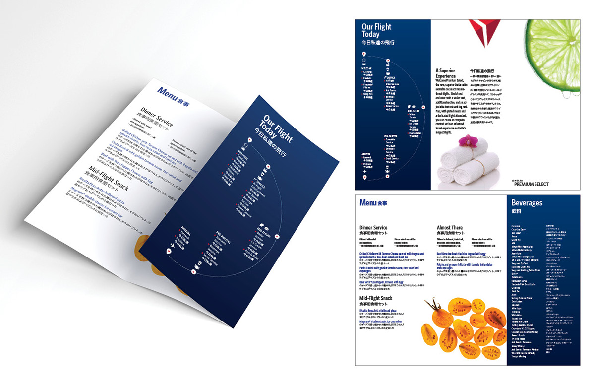 Adobe Portfolio menu design brochure design delta airlines
