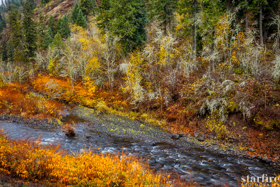 autumn Idaho Landscape mountains Nature orange rivers starfire photography water yellow