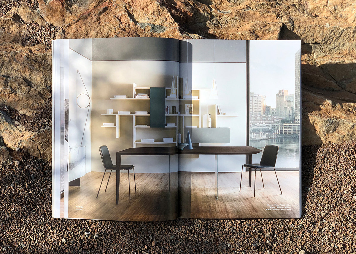 art direction  Catalogue design editorial furniture graphic interior design  Layout minimal styling 