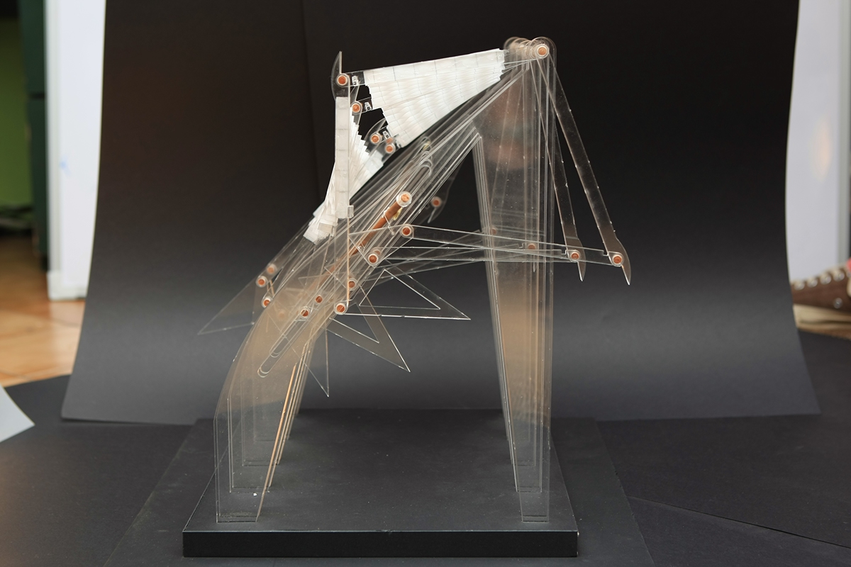 bird art leg laser acrilico experiment study estudio experimento grafico envolvente pajaro