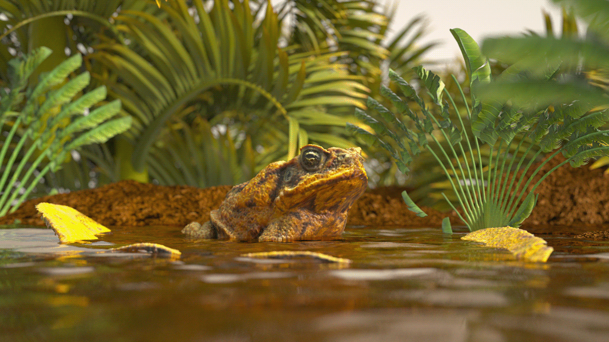 3d animation 3d design Adobe After Effects CGI compositing Maxon Cinema 4d Nature toad vfx