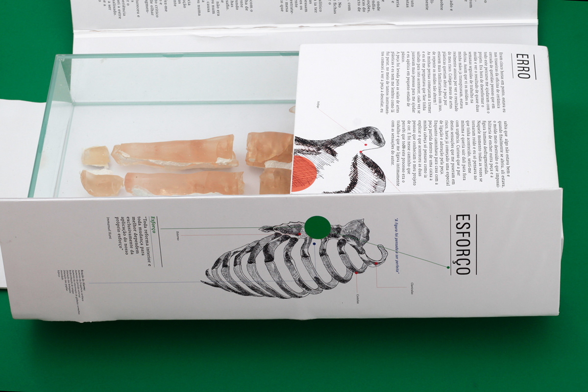 design  conceptual art  Illustration  sculpting  editorial book anatomy graphic