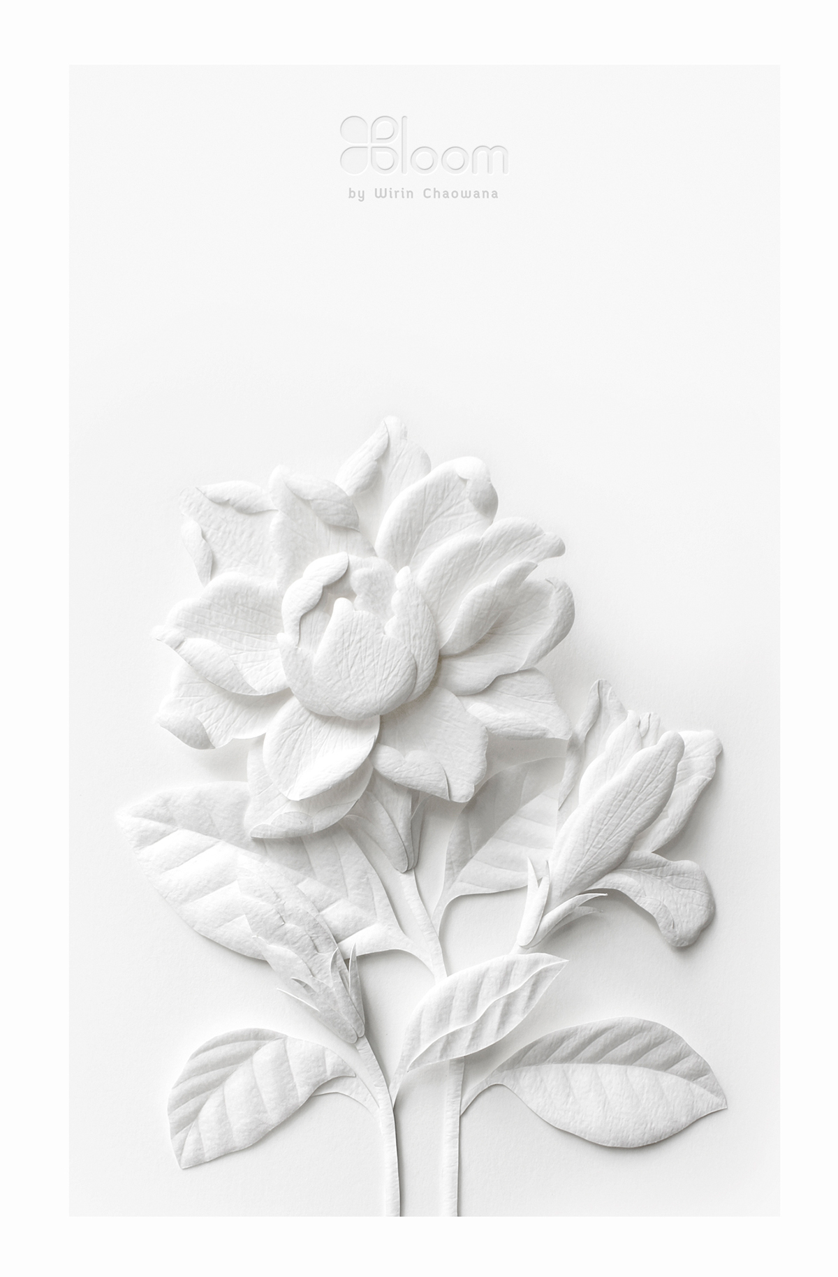 papercraft  papersculpture  paper  white  flower  craft  handmade  Thai  calendar   card  sculpture