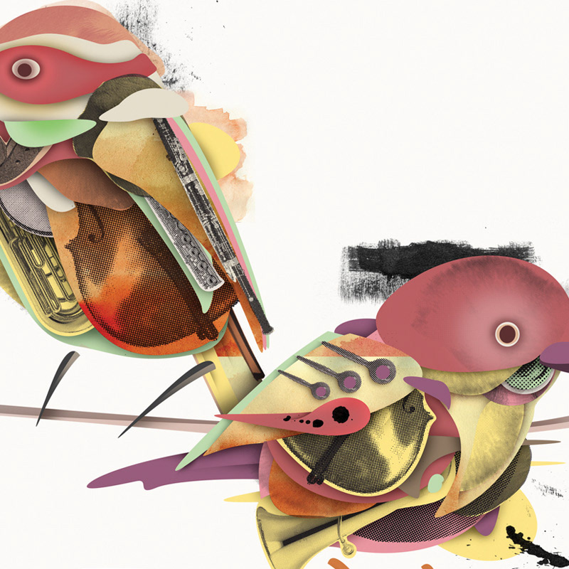 auditori illustrated birds Digital Collage superexpresso toormix