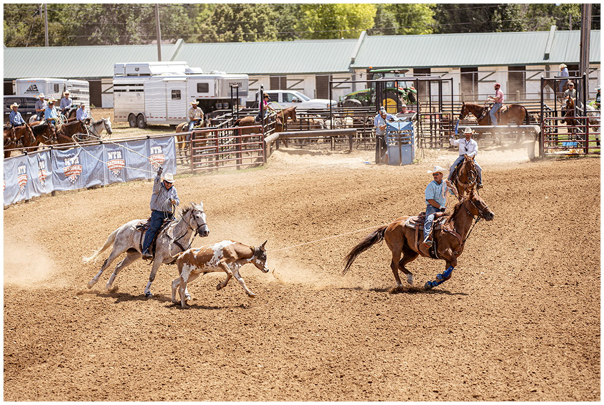 COWBOYS forever west Foto Dokumentation Photography  rodeo Sheridan Wyoming USA wild west