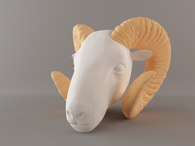 ram sheep horns