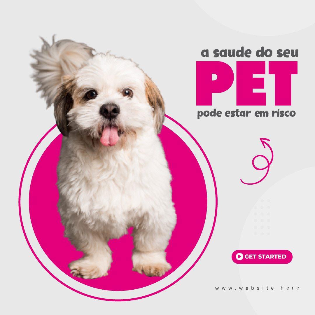 dog pet shop Pet Portrait Pet Adoption Pet Instagram Post Pet design PET animal