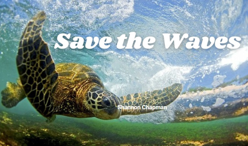 animal sanctuary conservation non-profit oceans surf ecosystem surfer surfer clothing