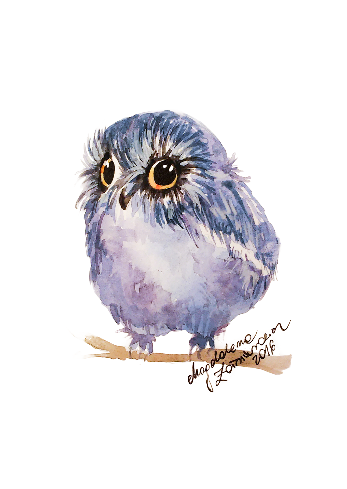 watercolor art painting   owl ILLUSTRATION  design