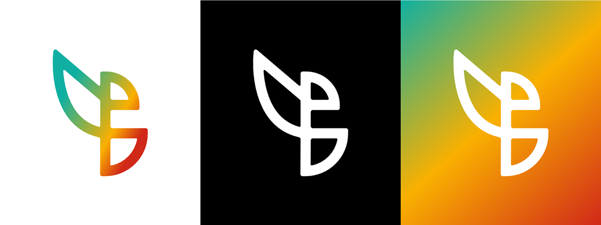 branding  logo redesign