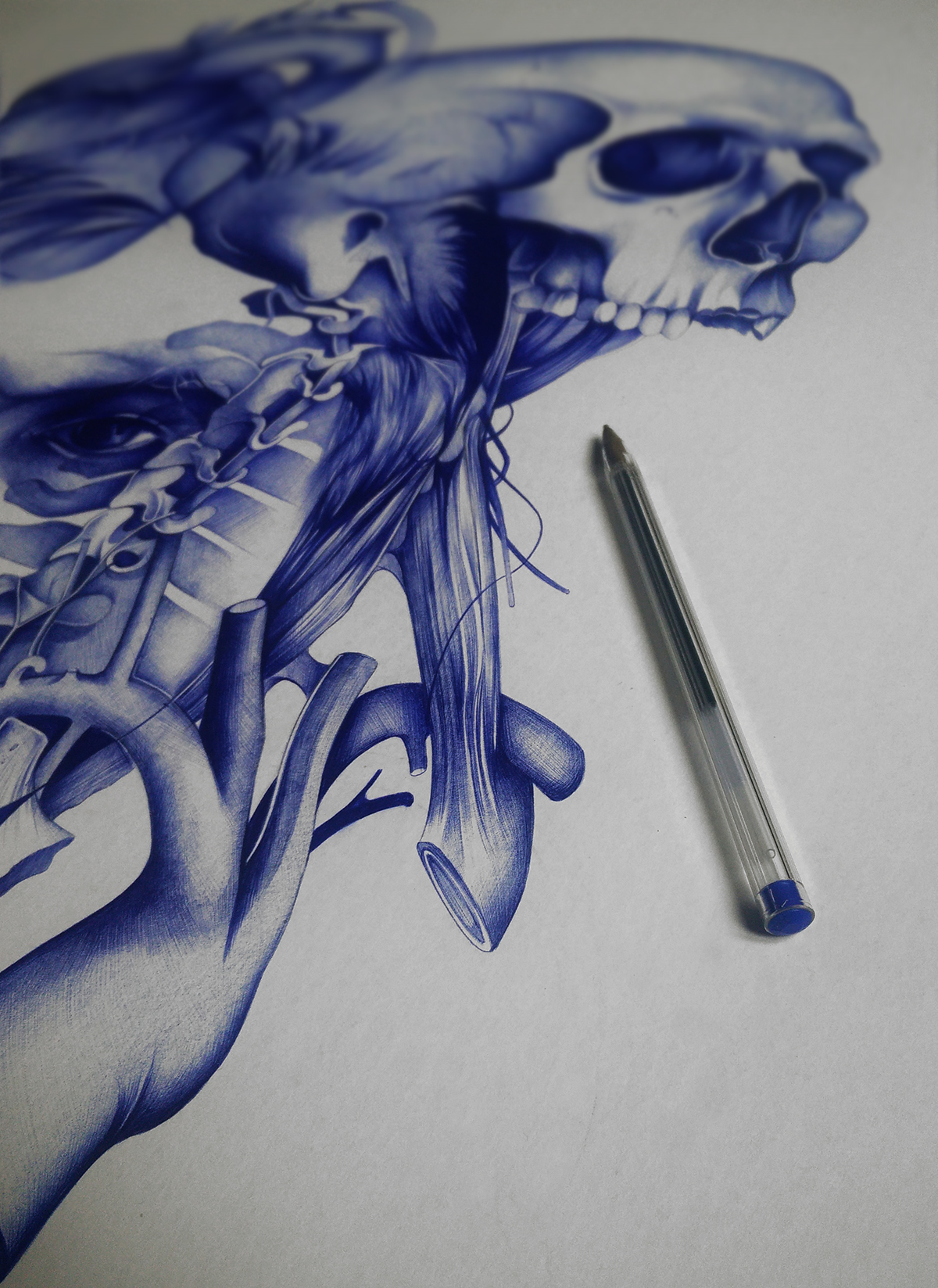 portrait realistic ballpoint stylo boligrafo bic paper biro